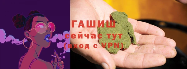 сатива Пересвет