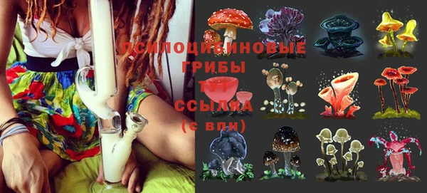 дурь Нязепетровск