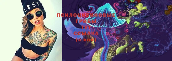 гидра Александровское