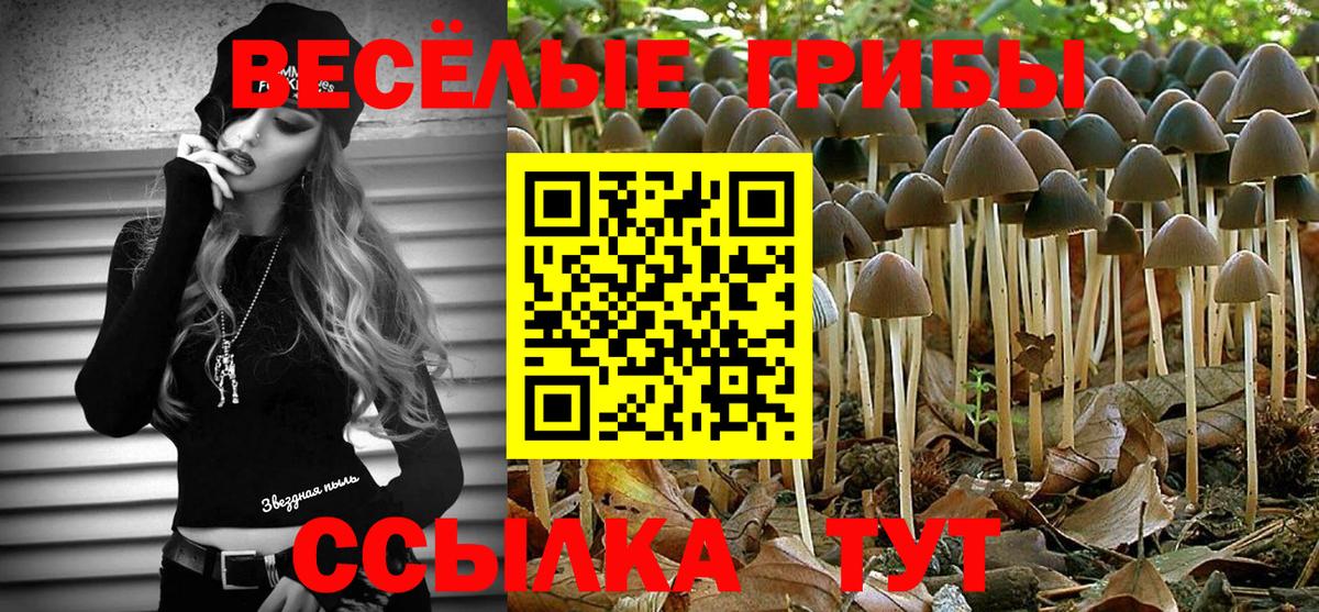 Галлюциногенные грибы Psilocybine cubensis Губаха