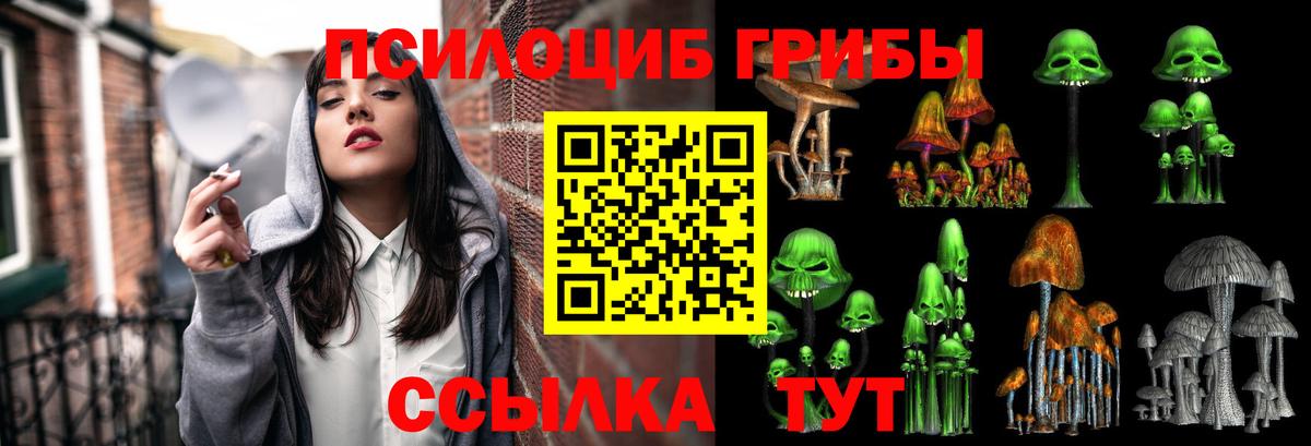 Галлюциногенные грибы прущие грибы  Псилоцибиновые грибы Magic Shrooms  Губаха  Вход с VPN 