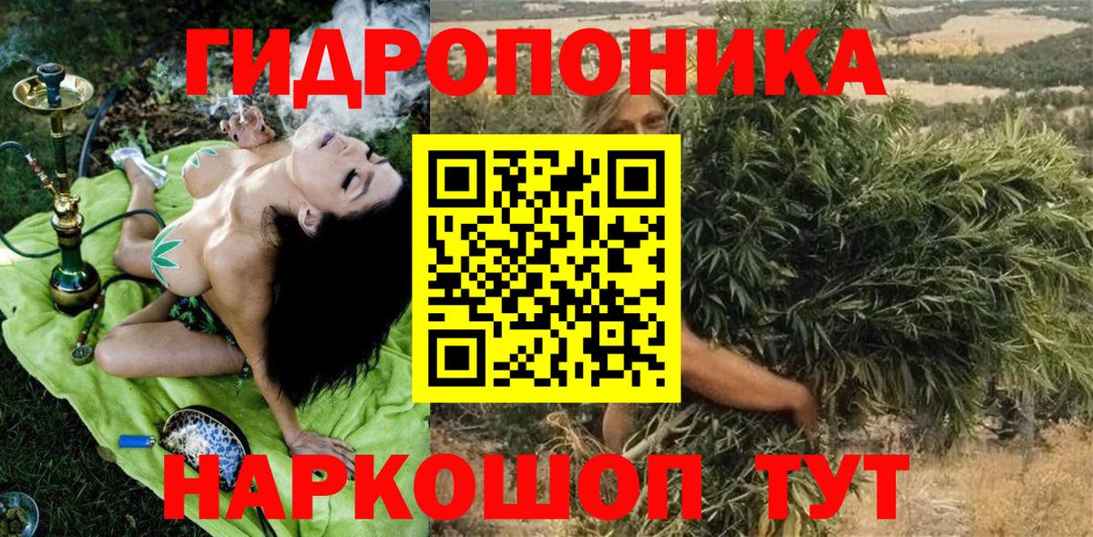 Бошки Шишки семена  Вход с VPN  Бошки марихуана THC 21%  Губаха 